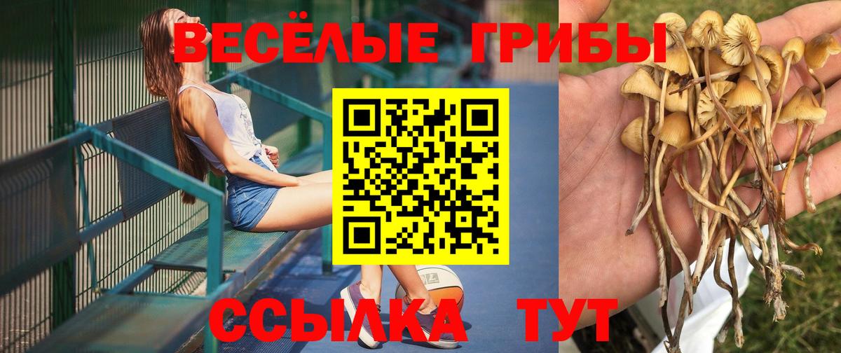 Псилоцибиновые грибы MAGIC MUSHROOMS  Галлюциногенные грибы ЛСД  Егорьевск  Вход с VPN 